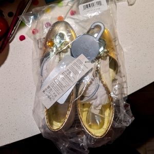 Princess Tiana Costume Shoes